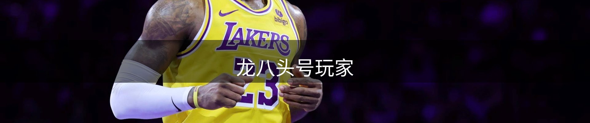 龙八(头号玩家)唯一官方网站